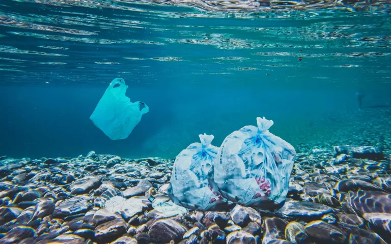 Change starts with me: young people campaign against plastics for World Ocean Day